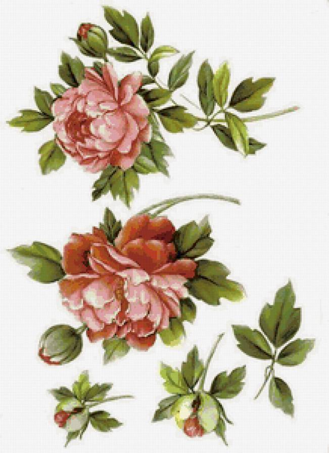 для скатерти и салфеток - пионы, цветы - предпросмотр