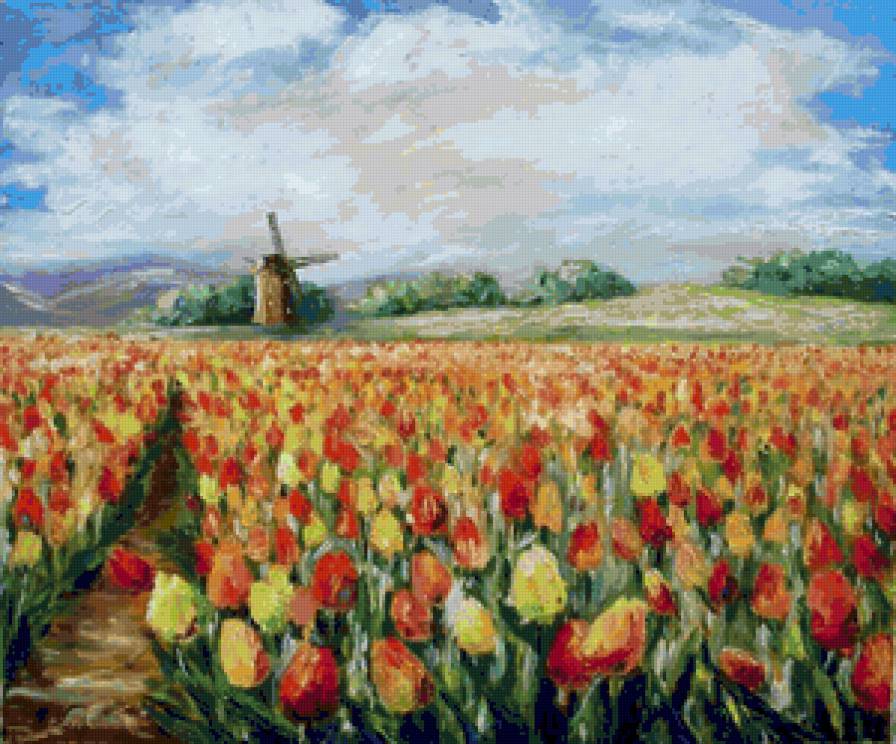 Голандия - природа, тюльпаны, голандия, пейзаж - предпросмотр