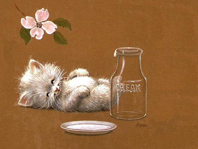 котенок - котенок - оригинал