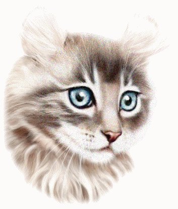 №80361 - оригинал