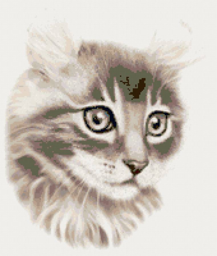 №80361 - предпросмотр