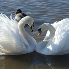 Схема вышивки «Третий лишний...»