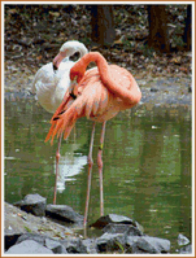 синхрон - фламинго - предпросмотр