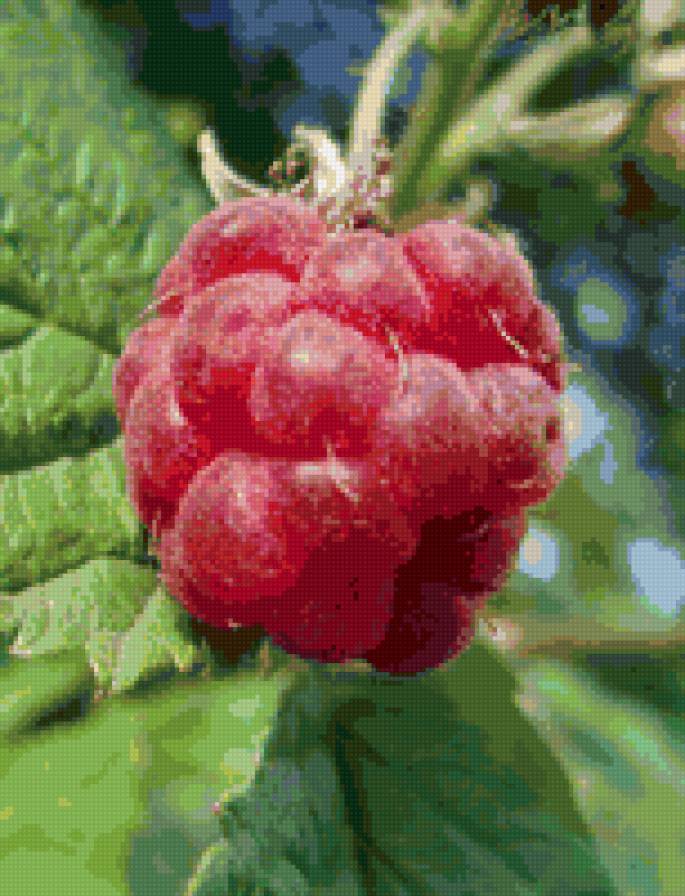 Малинка - малинка - предпросмотр