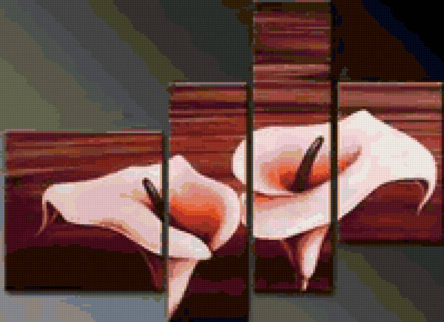 каллы - предпросмотр