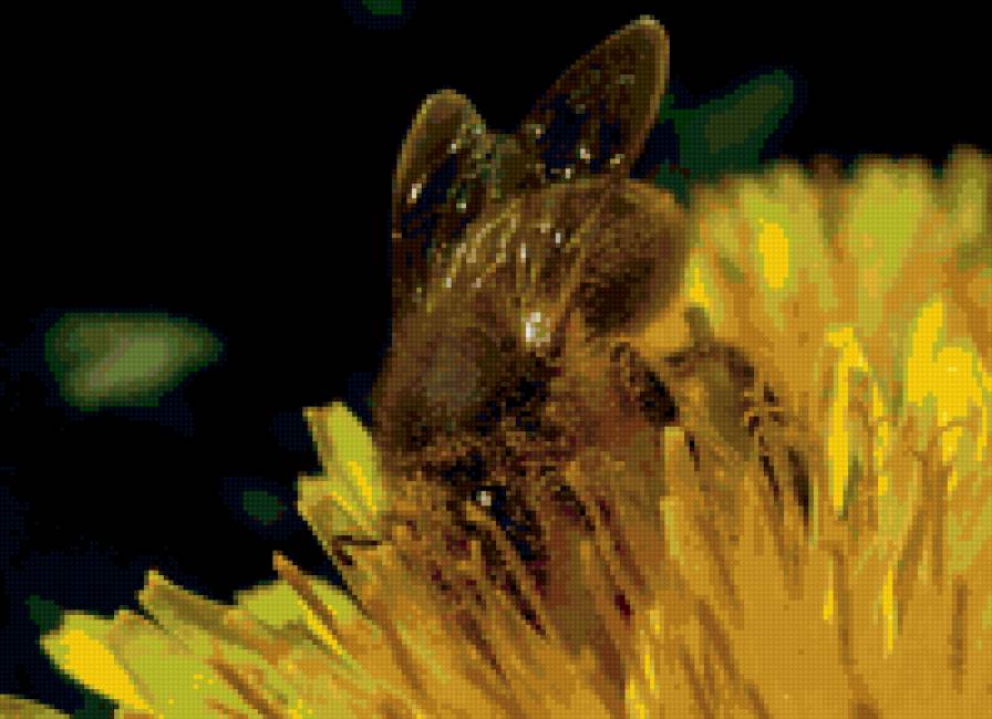 Пчёлка - пчелка - предпросмотр