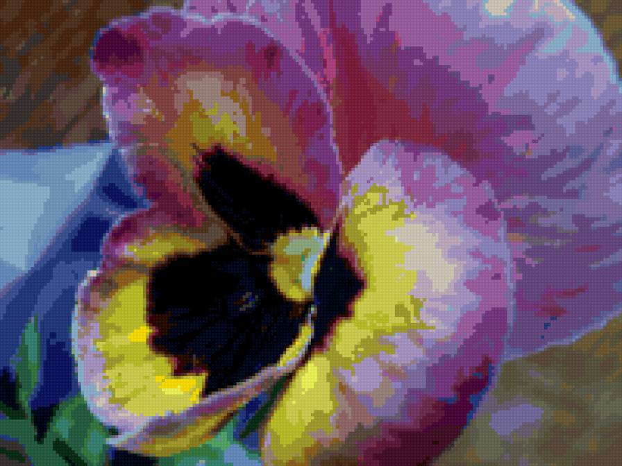 Анютыны глазки - цветы, анютыны глазки - предпросмотр