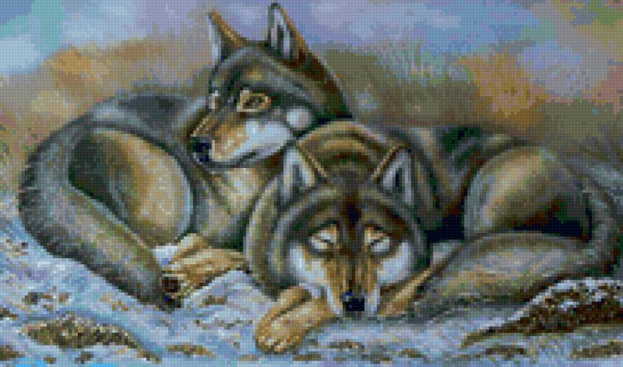волки - зима, животные, картина, природа, живопись, волки, красота - предпросмотр