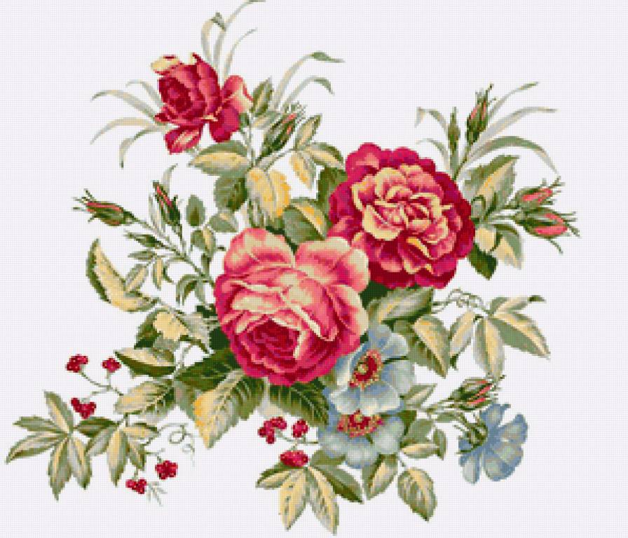 розы - цветы - предпросмотр