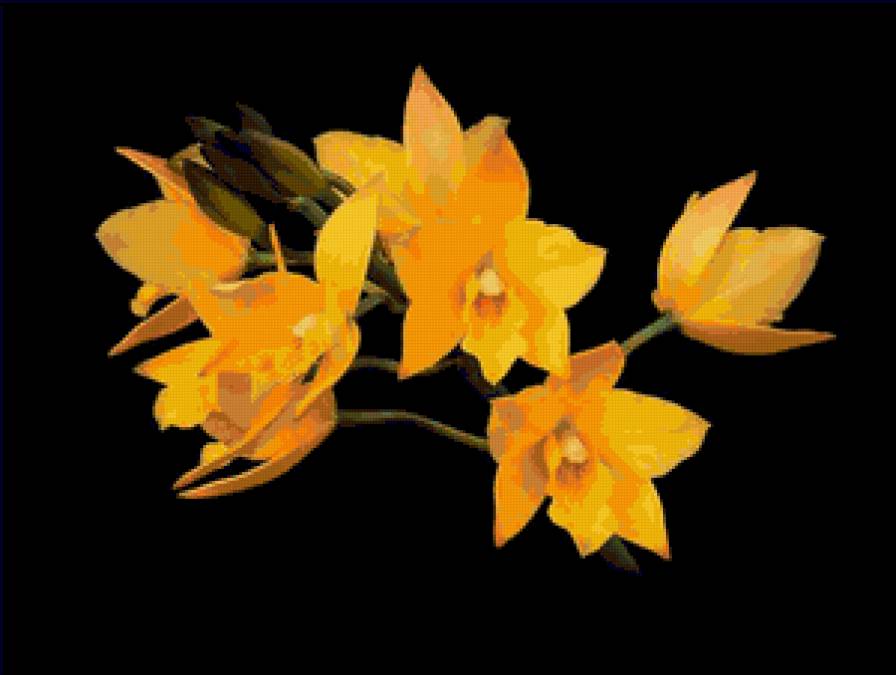 №80680 - на черном, цветы - предпросмотр