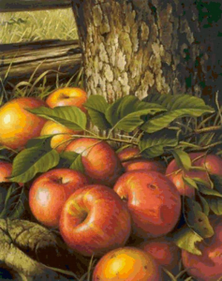 №80685 - предпросмотр