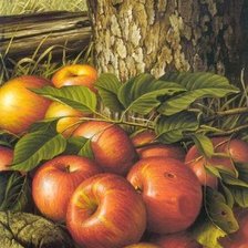 Схема вышивки «№80685»