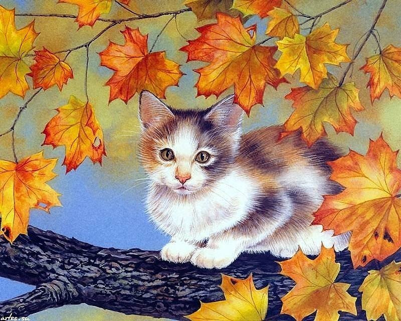 котенок на дереве - котенок - оригинал