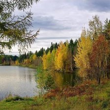 Схема вышивки «осень»