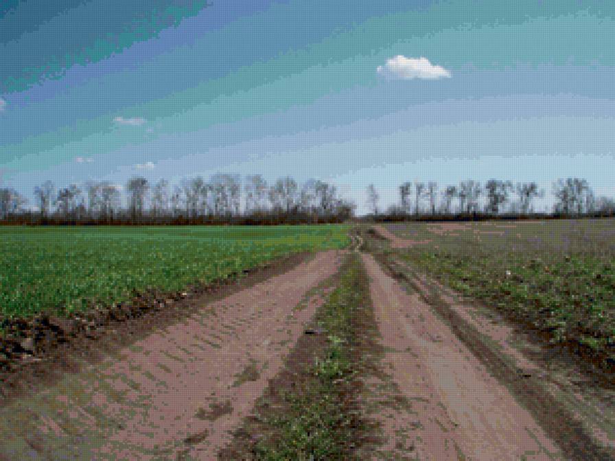 полесье, дорога на с.Шкуратовка - дорога на с.шкуратовка, полесье - предпросмотр