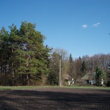 усадьба Йосипа Хомича с.Шкуратовка