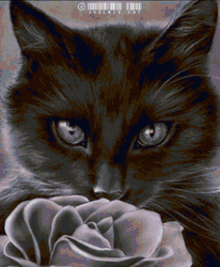 Черный кот - цветы, живопись, животные, коты - предпросмотр