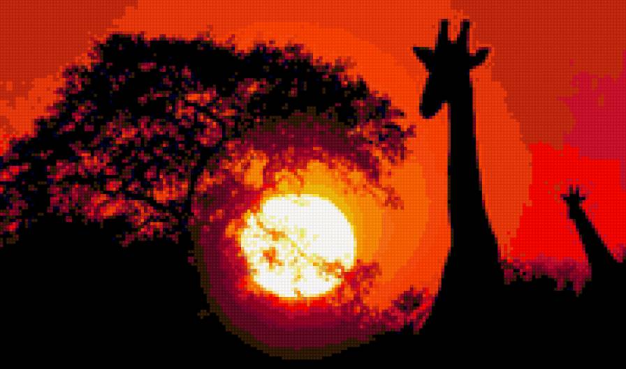 африка - жираф, природа, закат, африка - предпросмотр