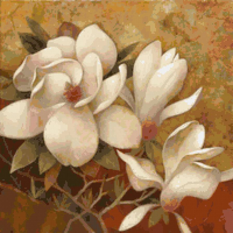 magnolia - flower - предпросмотр