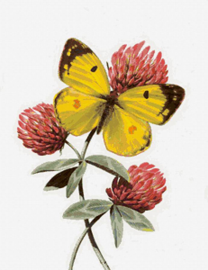 №81220 - животные, цветы, рисунок, бабочка - предпросмотр