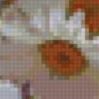 Предпросмотр схемы вышивки «ромашки» (№81246)
