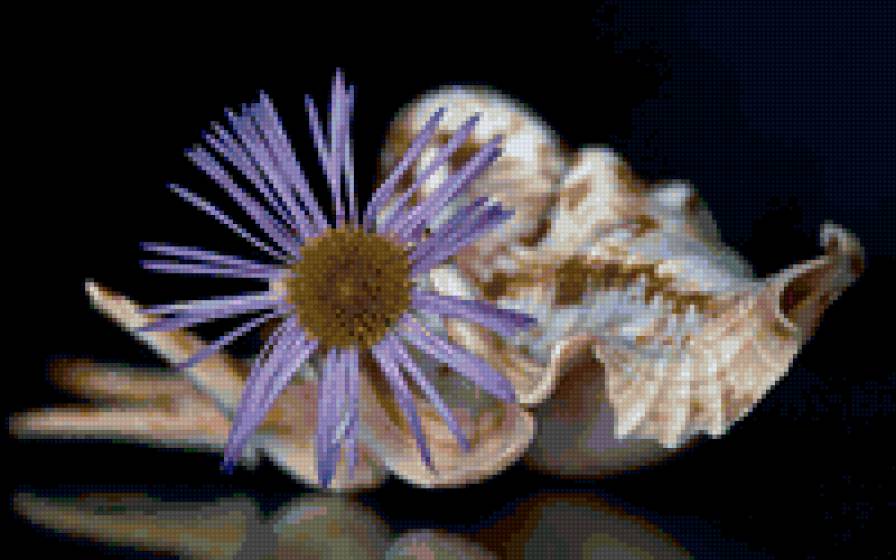 голубые цветы - цветы - предпросмотр