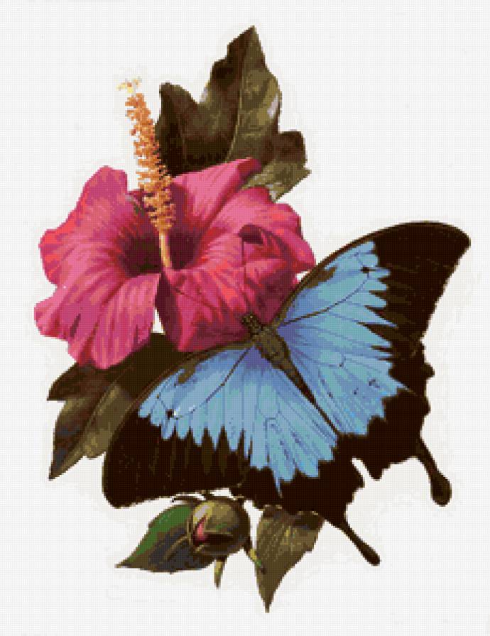 №81253 - цветы, животные, рисунок, бабочка - предпросмотр