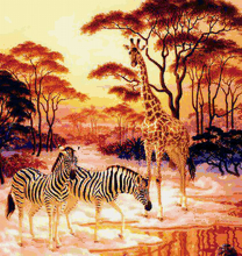 Африка - африка, животные, зебра, жираф - предпросмотр