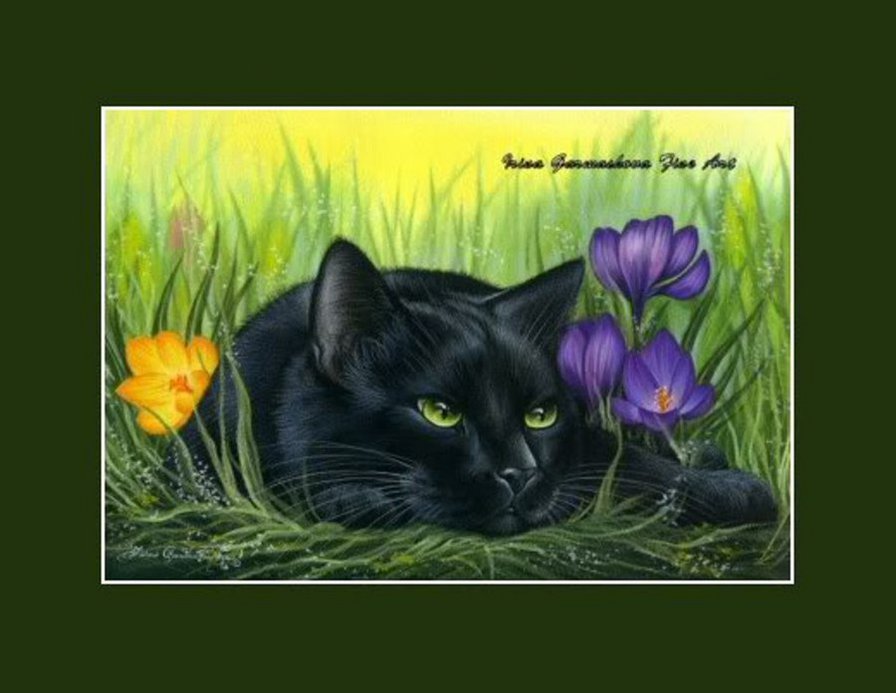 черный кот - кот - оригинал