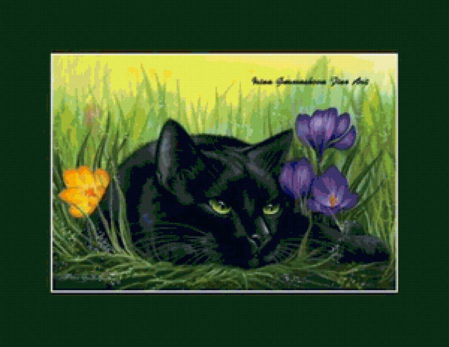 черный кот - кот - предпросмотр