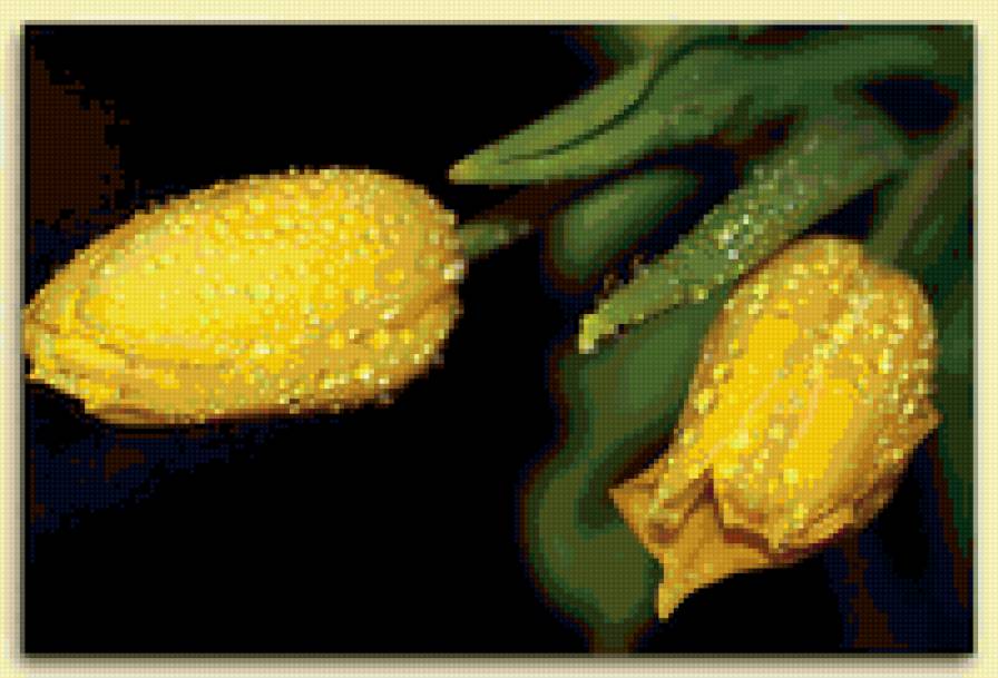 тюльпаны - цветы - предпросмотр