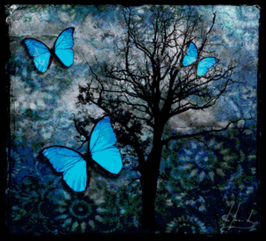 ночные бабочки - ночь.бабочки - предпросмотр