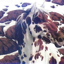 угадайте где я