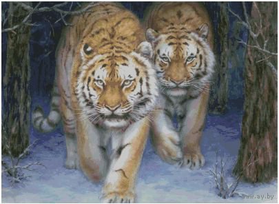 Тигры - живопись, тигры, животные - оригинал