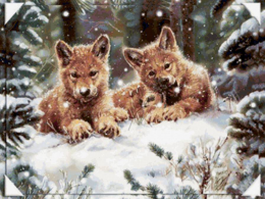 Волчата на снегу - хищник, снег, зима, животные, волк, семья - предпросмотр