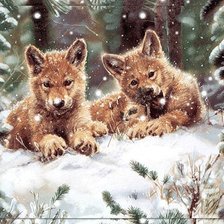 Волчата на снегу