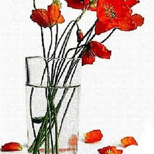 Схема вышивки «Маки»