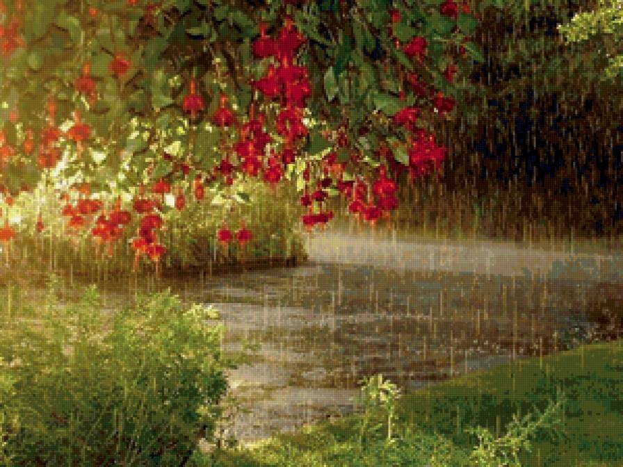 Летний дождь - красота, цветы, лес, река, дождь, лето - предпросмотр