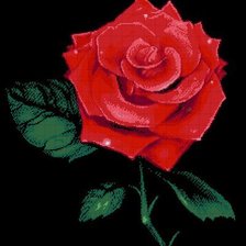 Схема вышивки «Роза»