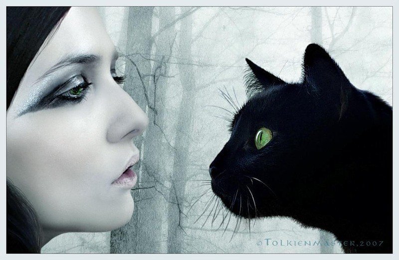 Девушка и кот - девушка и кот - оригинал