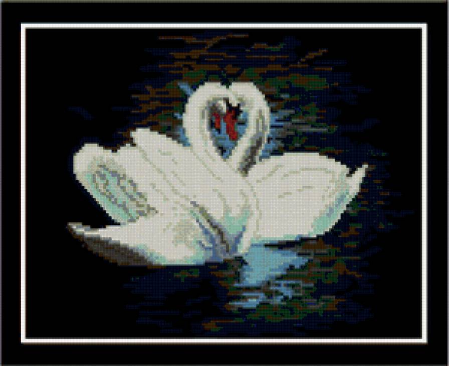 №81894 - птицы, любовь, лебеди, пара - предпросмотр