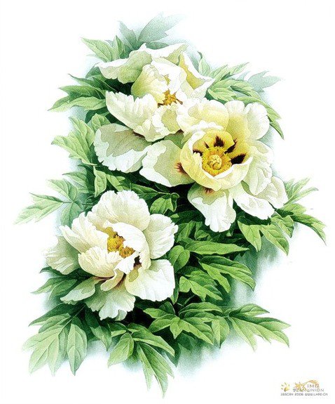 зенг ксиао лиан 1 - цветы, живопись, зенг ксиао лиан - оригинал