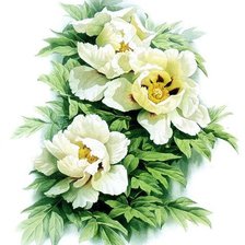 Схема вышивки «зенг ксиао лиан 1»