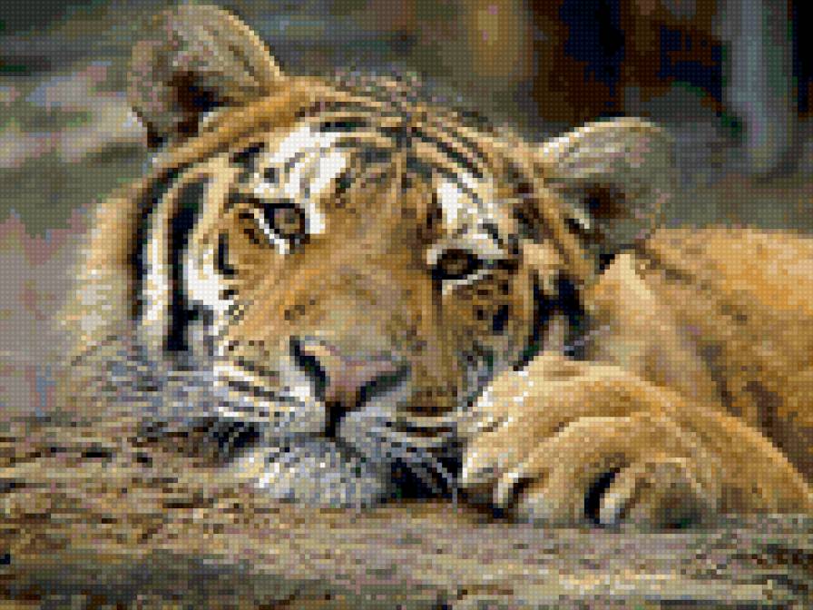 Тигр - мечтатель - предпросмотр