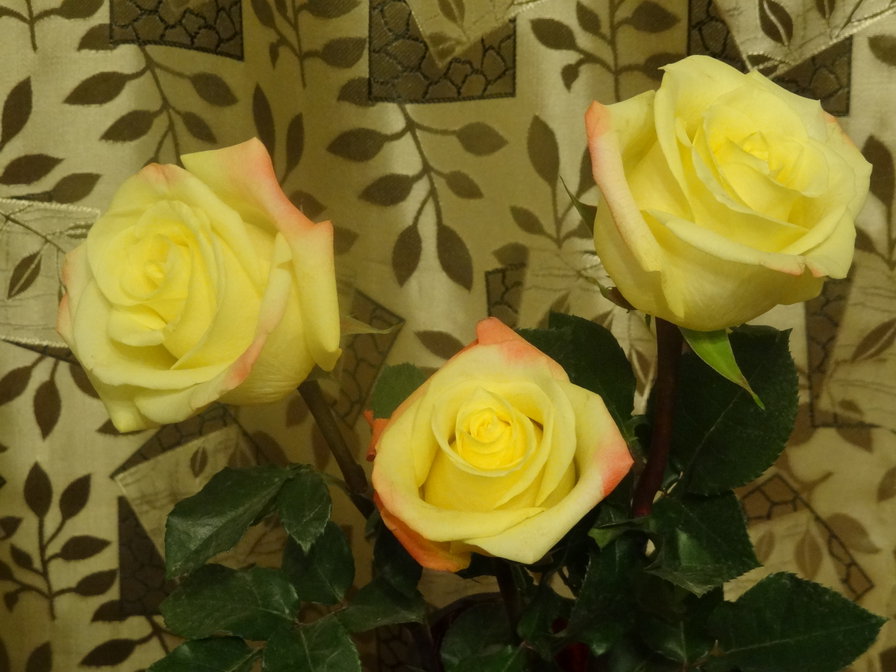 Для тебя - цветы, розы - оригинал