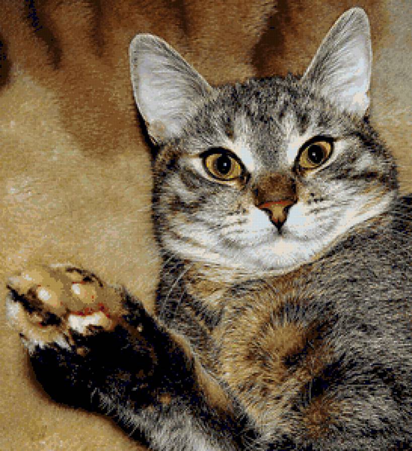 всем привет! - портрет, коты, кошки, животные - предпросмотр