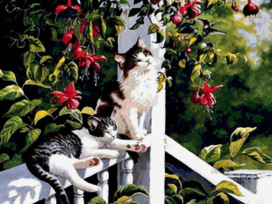 коты на крылечке - крыльцо, фуксия, коты - предпросмотр