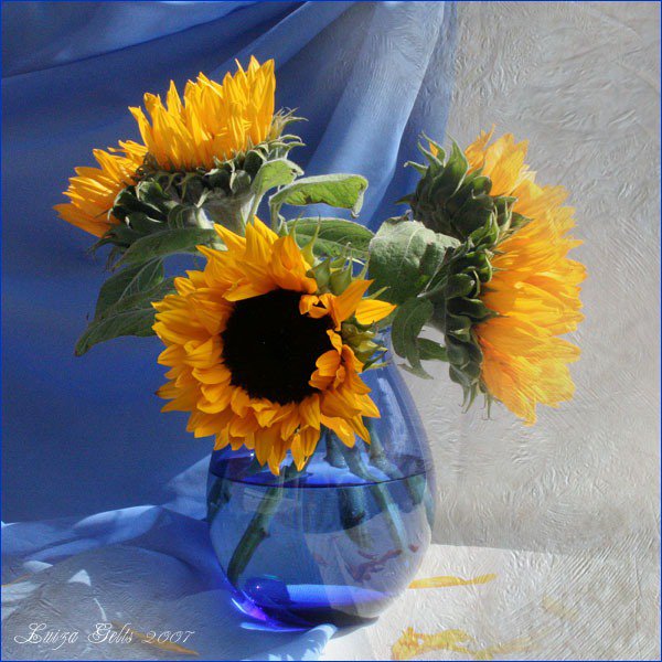 Подсолнухи в вазе - цветы - оригинал