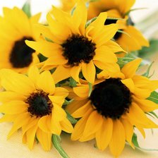 Схема вышивки «Букет подсолнухов»