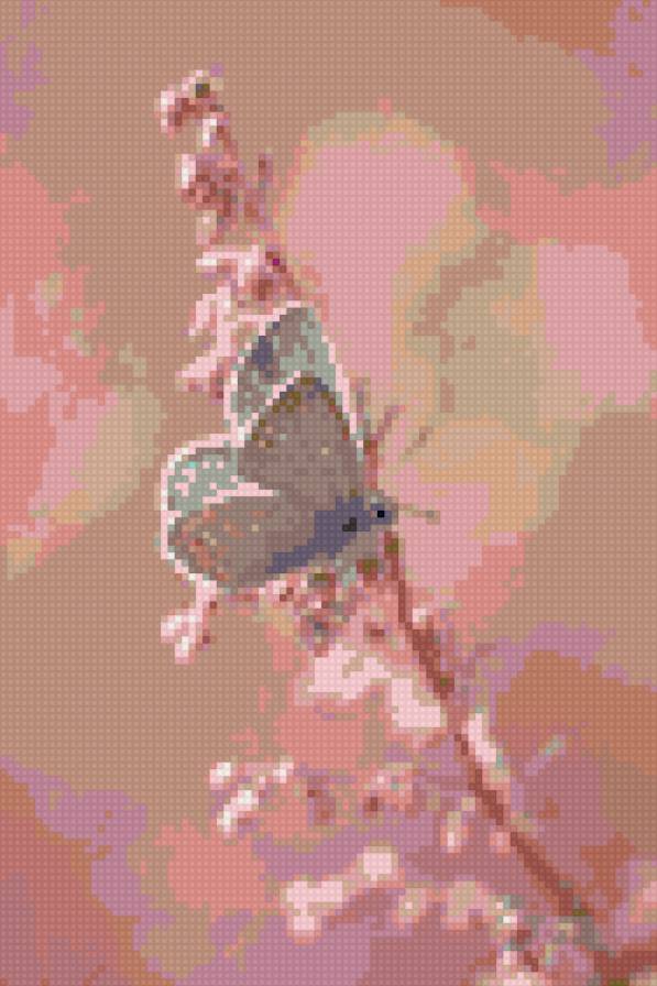 нежная бабочка - предпросмотр